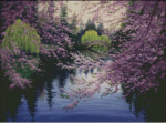 (image for) April in Beacon Hill Park